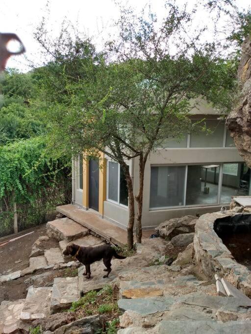 Koba, Una Experiencia Memorable Potrero de los Funes Bagian luar foto